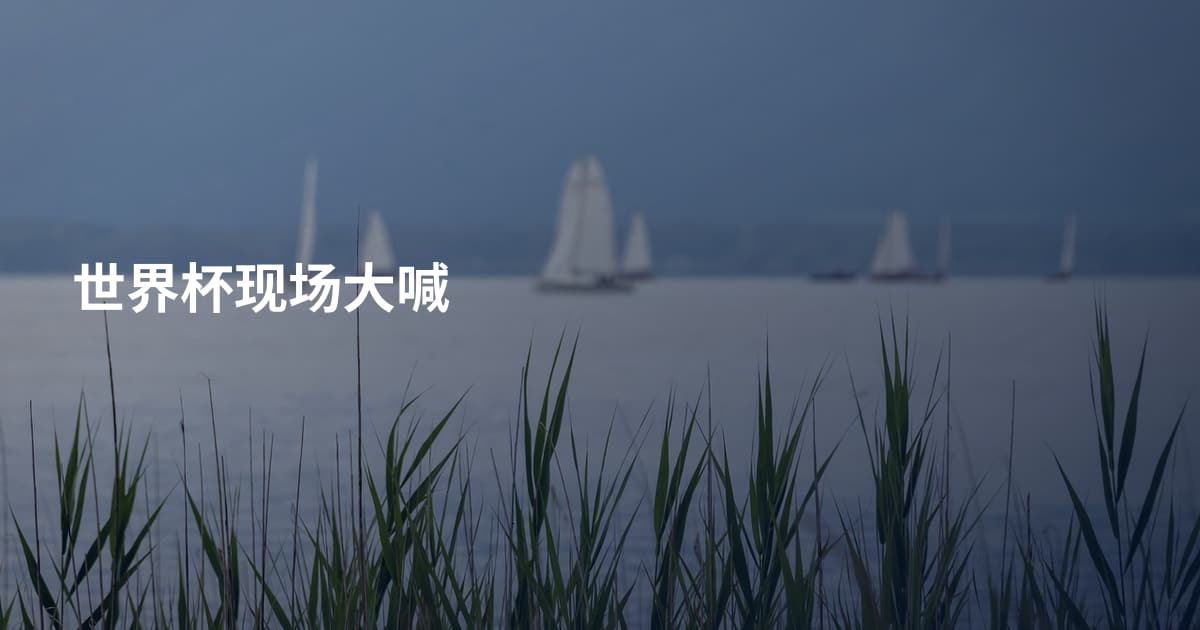 世界杯现场大喊