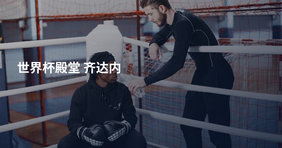 世界杯殿堂 齐达内