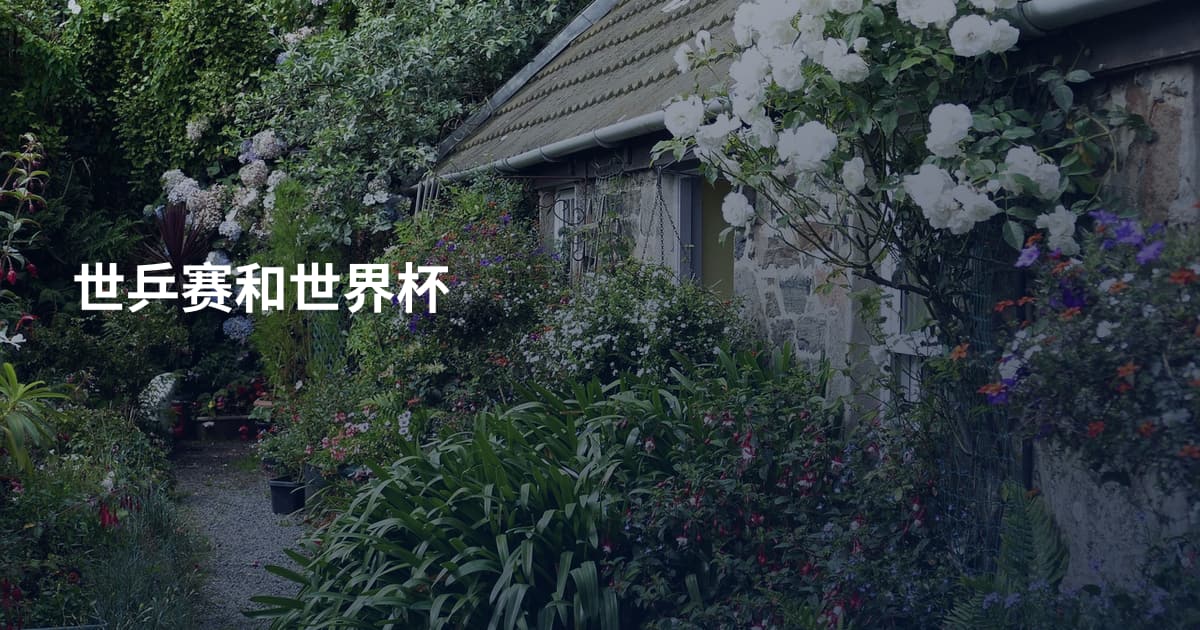 世乒赛和世界杯