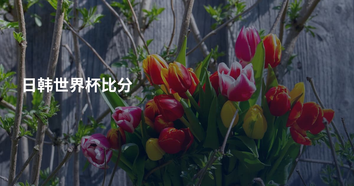 日韩世界杯比分