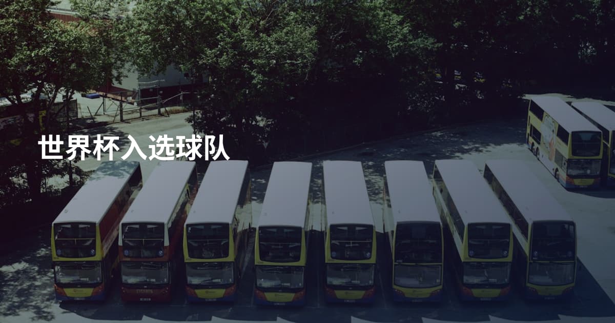 世界杯入选球队