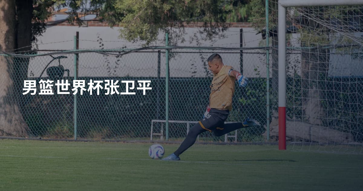 男篮世界杯张卫平