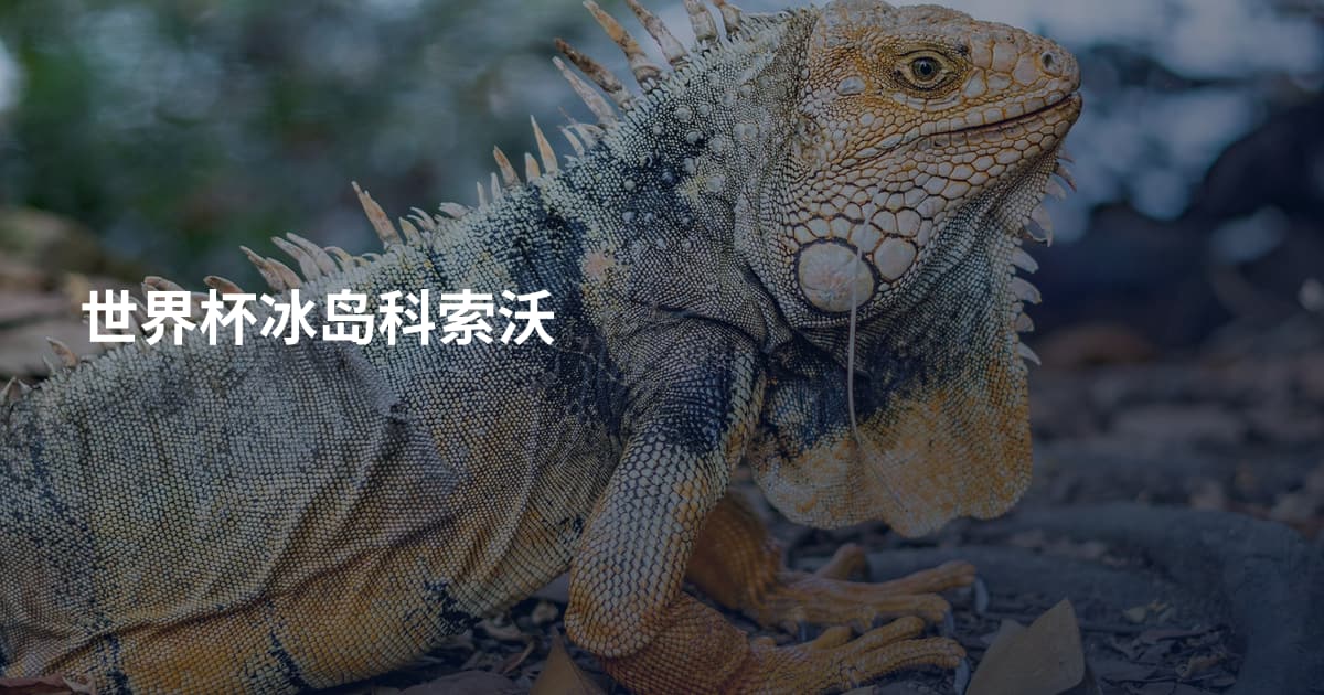 世界杯冰岛科索沃