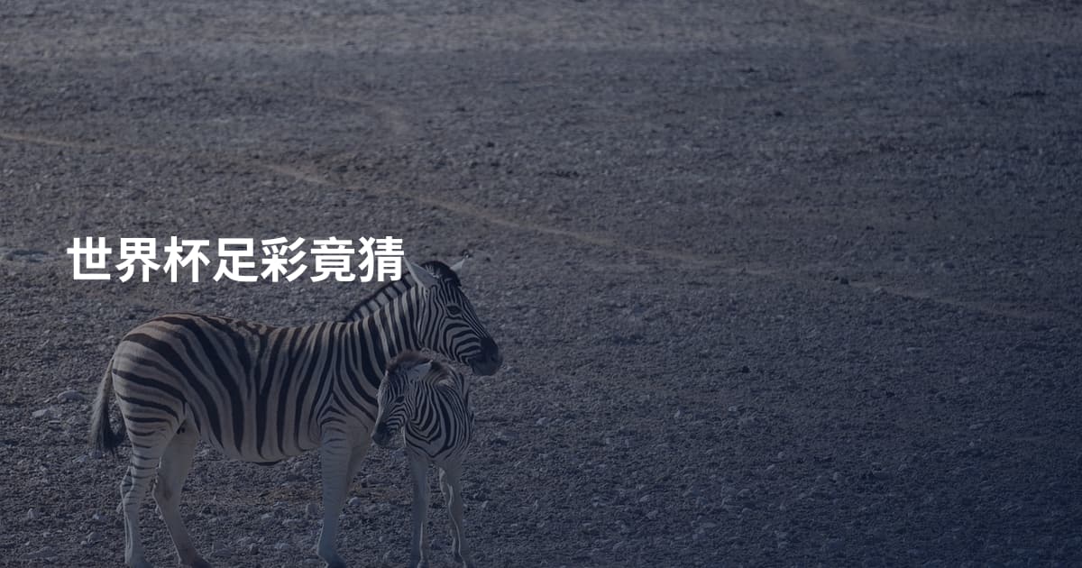 世界杯足彩竟猜