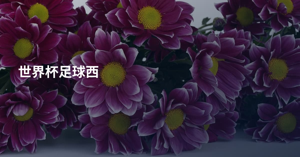 世界杯足球西