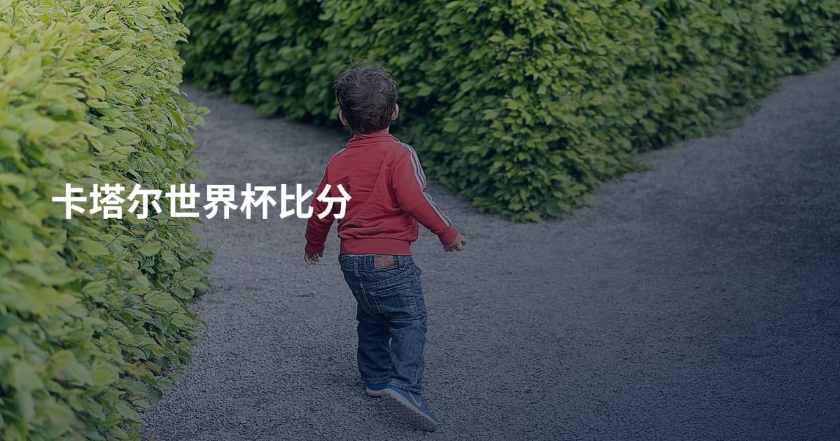 卡塔尔世界杯比分