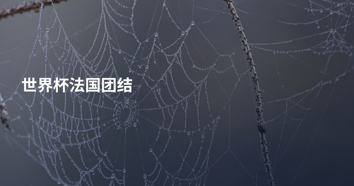 世界杯法国团结