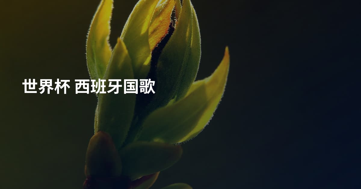 世界杯 西班牙国歌