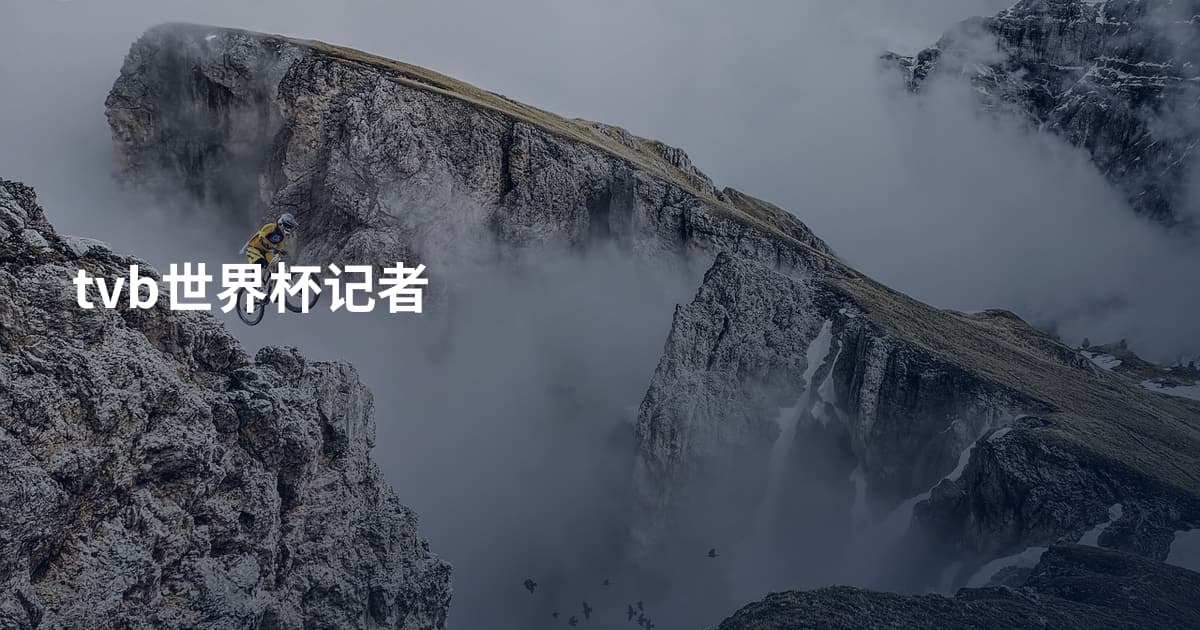 tvb世界杯记者