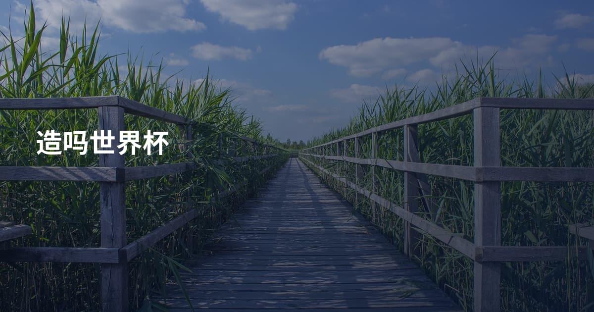 造吗世界杯