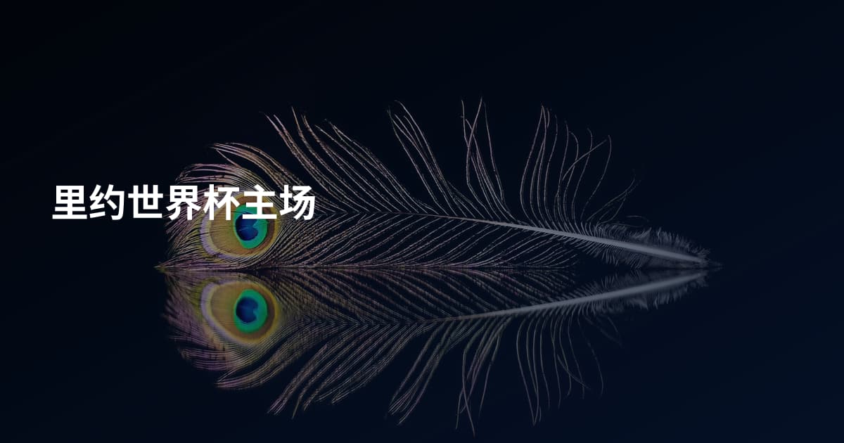 里约世界杯主场