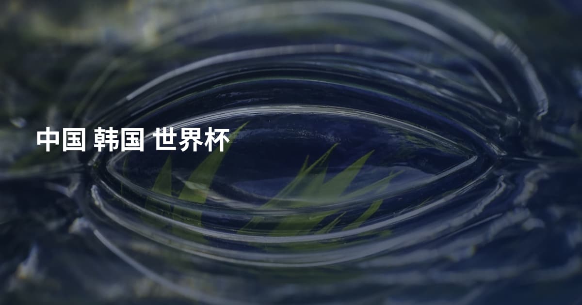 中国 韩国 世界杯