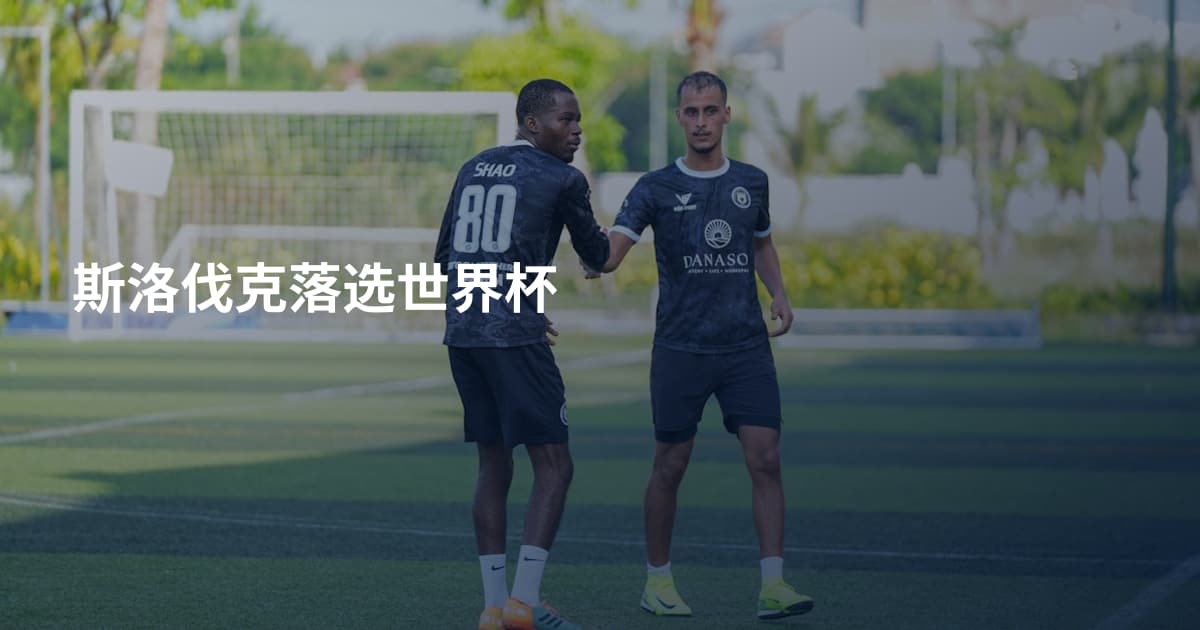 斯洛伐克落选世界杯