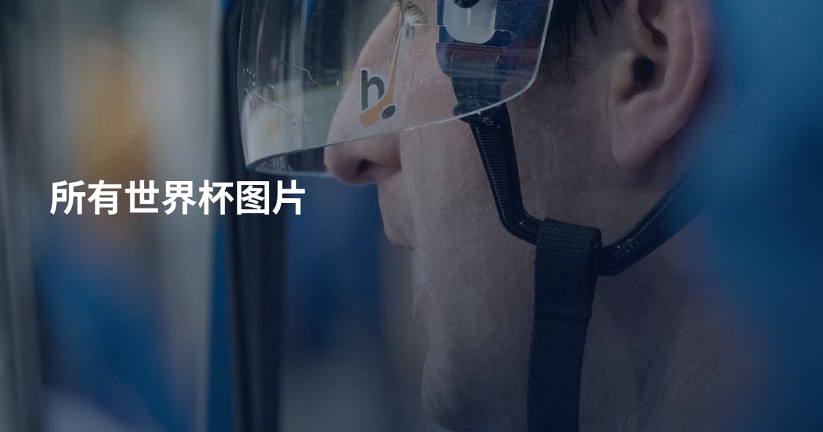 所有世界杯图片