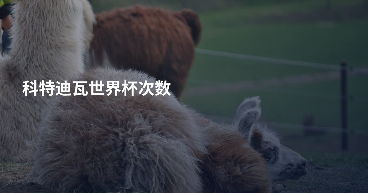 科特迪瓦世界杯次数