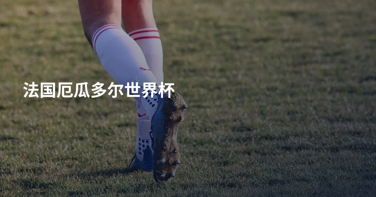 法国厄瓜多尔世界杯