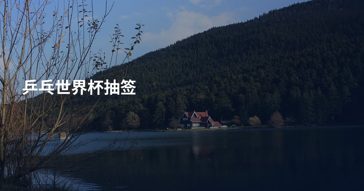 乒乓世界杯抽签