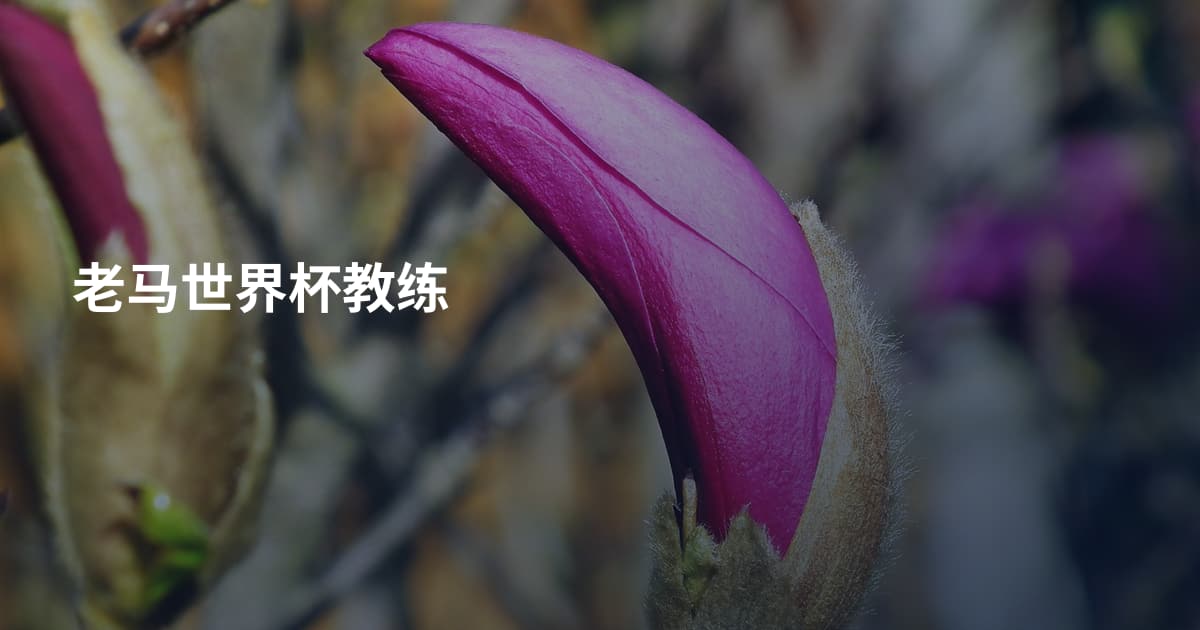 老马世界杯教练