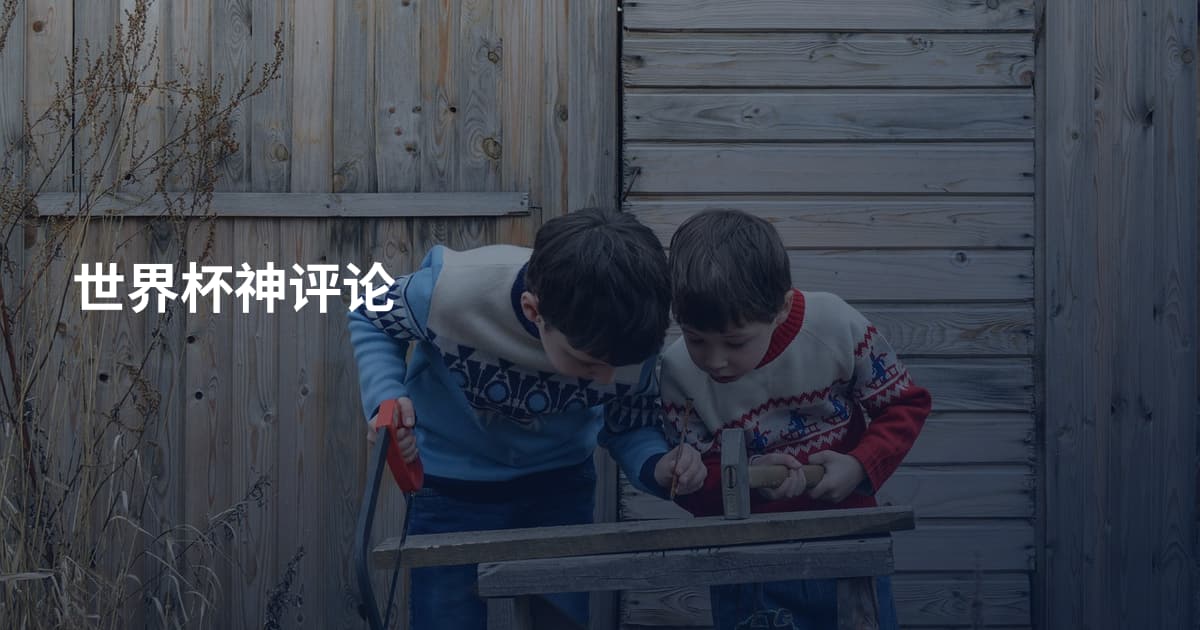 世界杯神评论