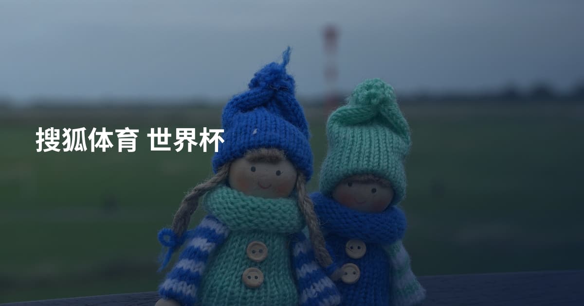 搜狐体育 世界杯