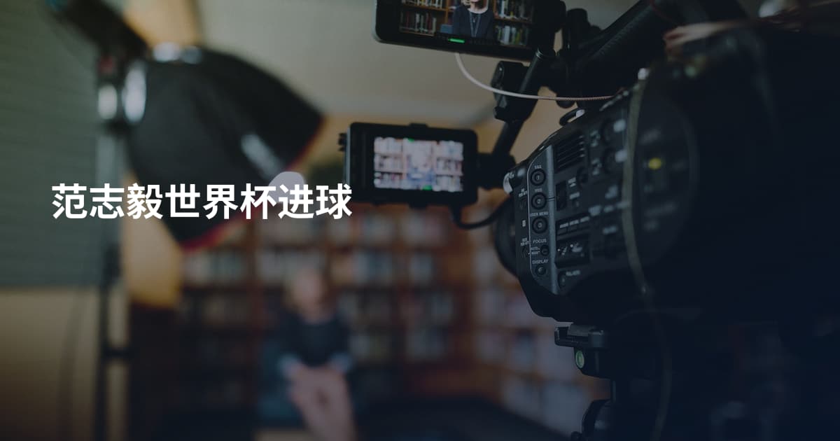 范志毅世界杯进球