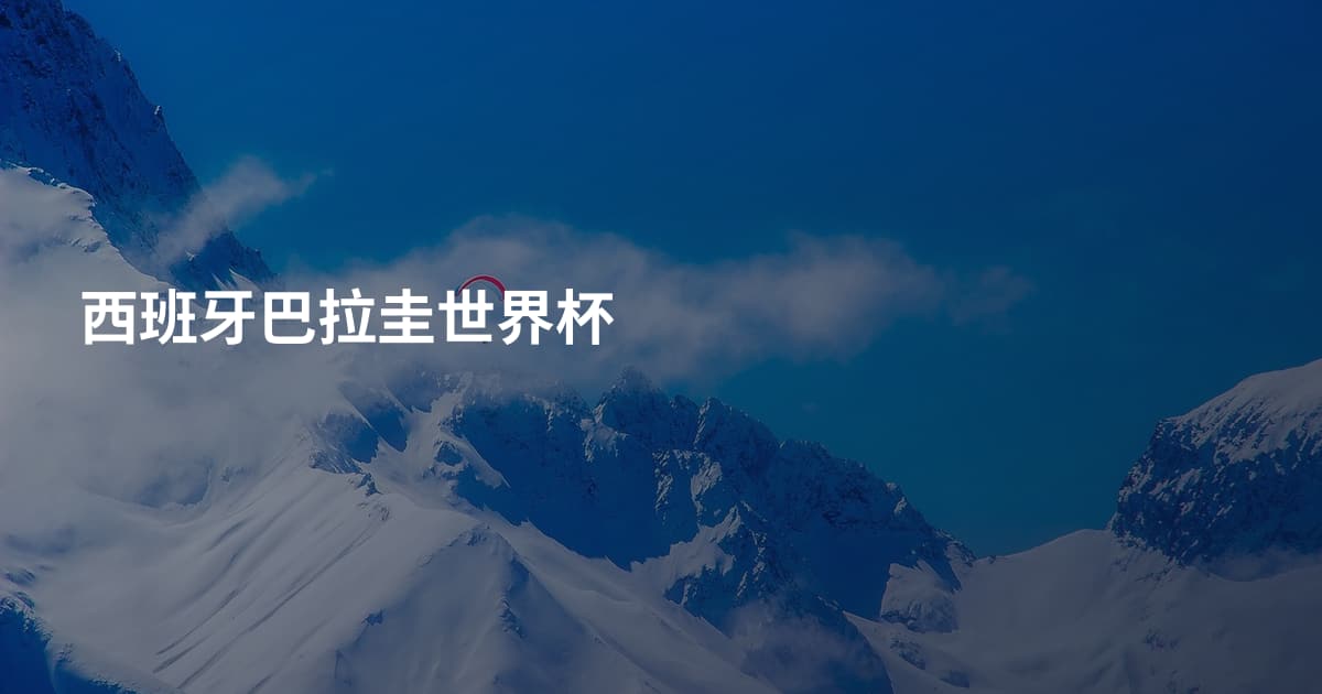 西班牙巴拉圭世界杯