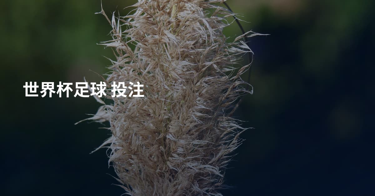 世界杯足球 投注