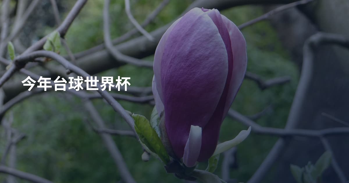 今年台球世界杯