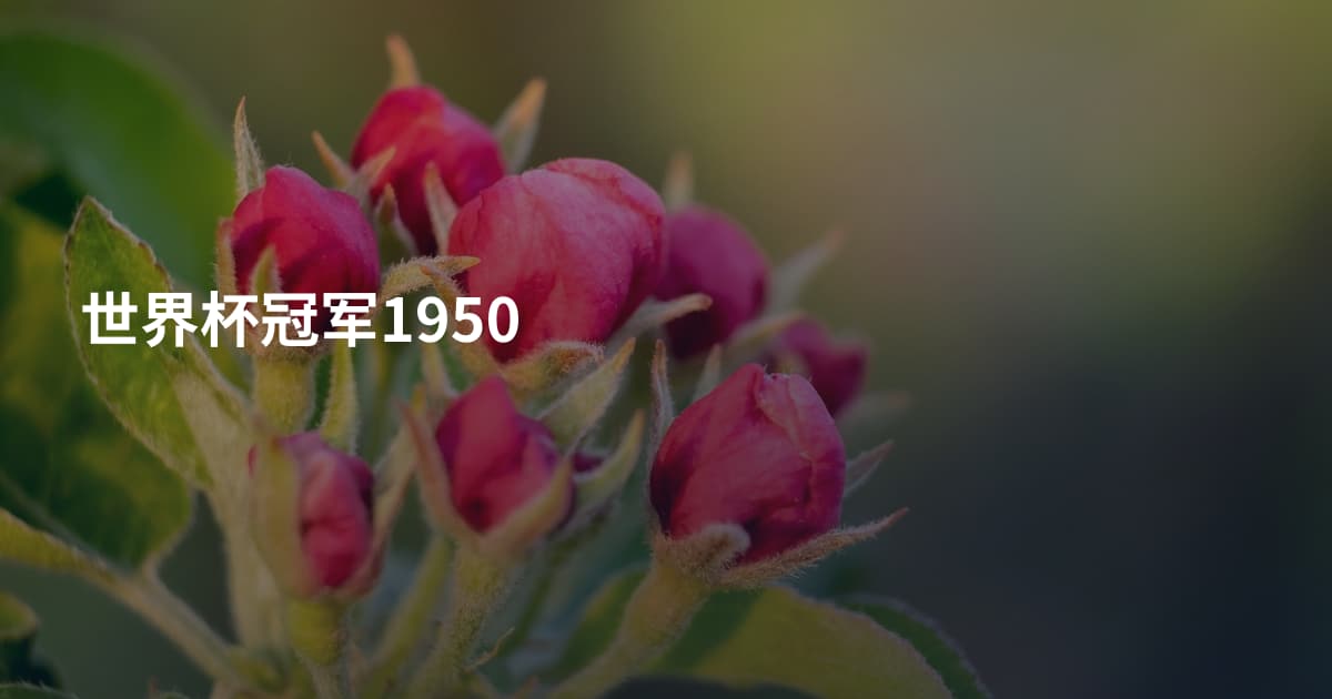 世界杯冠军1950