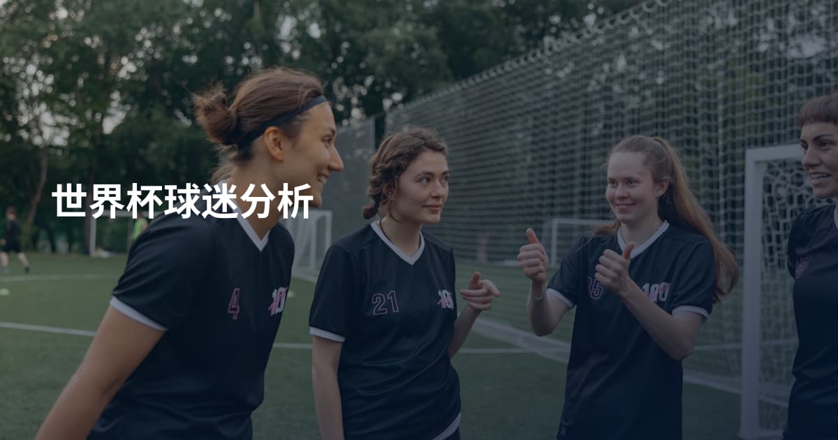 世界杯球迷分析