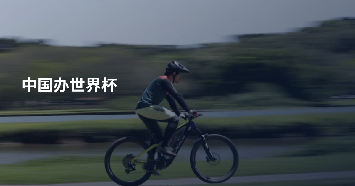 中国办世界杯