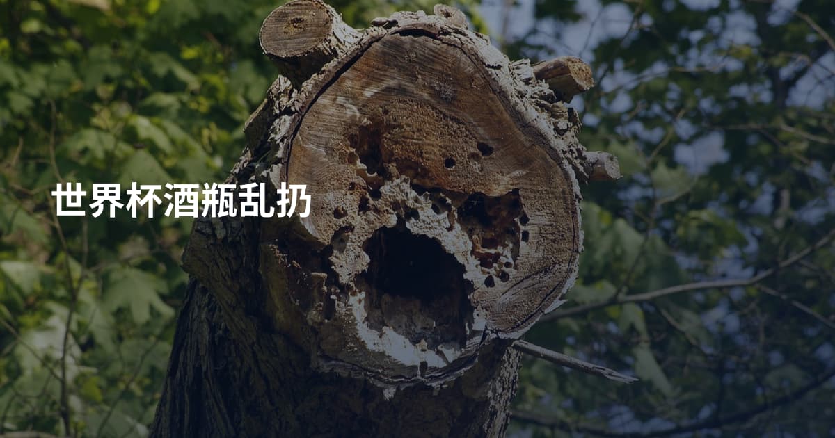 世界杯酒瓶乱扔