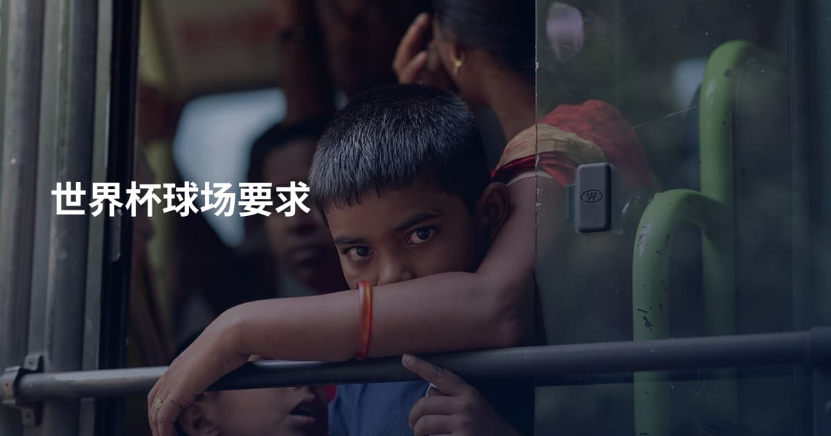 世界杯球场要求