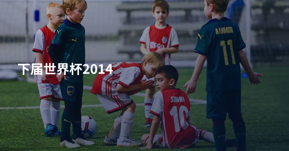 下届世界杯2014