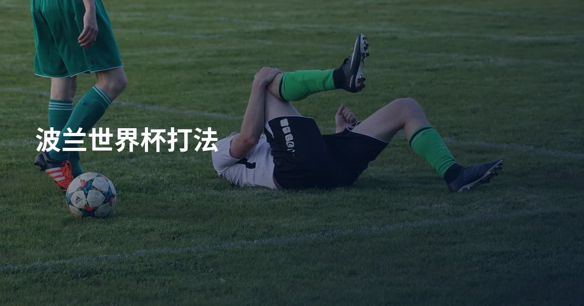 波兰世界杯打法