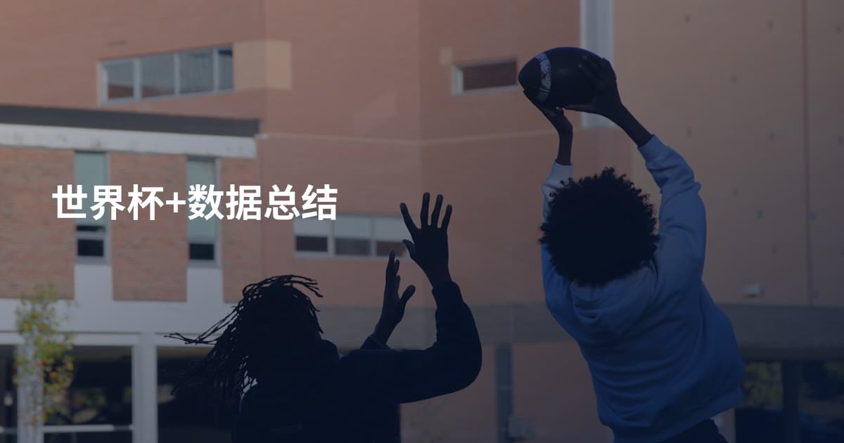 世界杯+数据总结