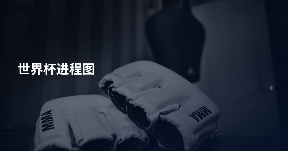 世界杯进程图