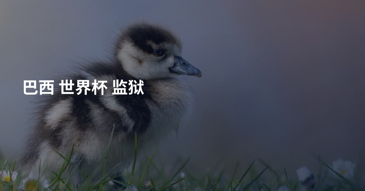 巴西 世界杯 监狱