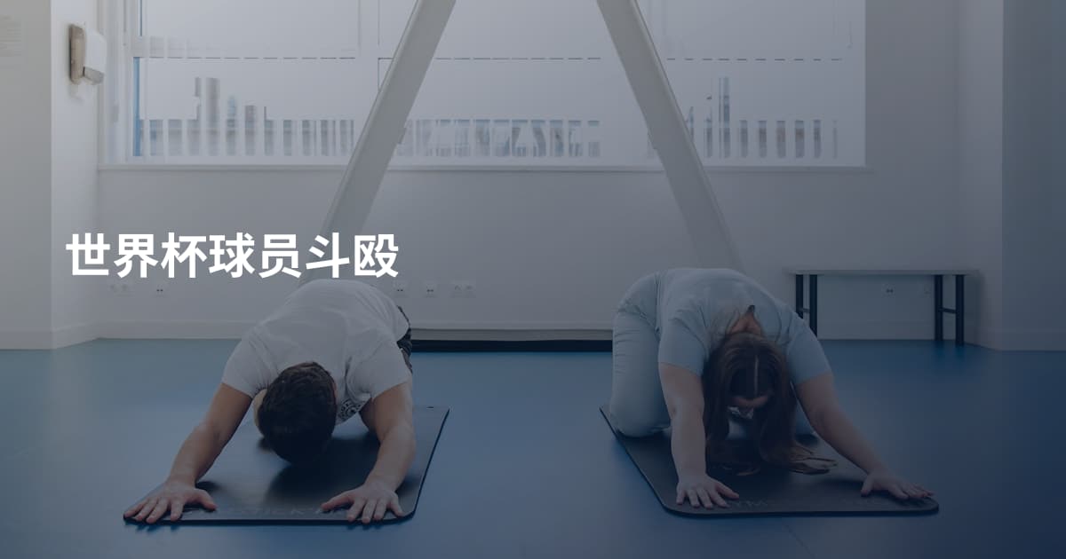 世界杯球员斗殴
