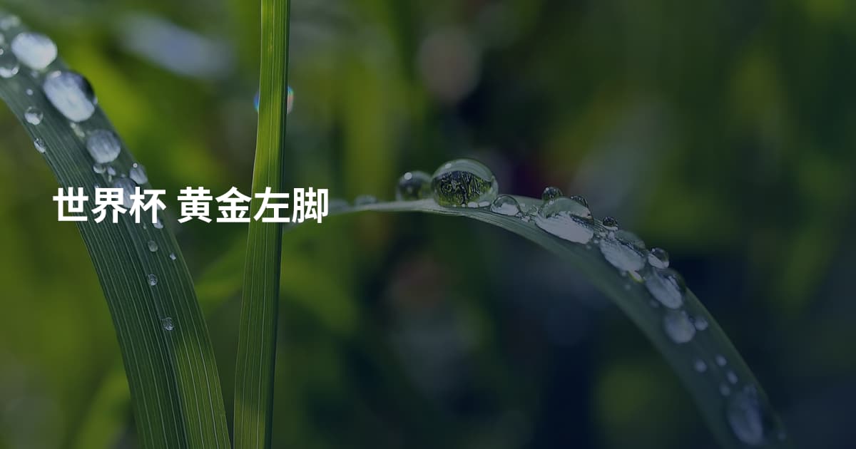 世界杯 黄金左脚