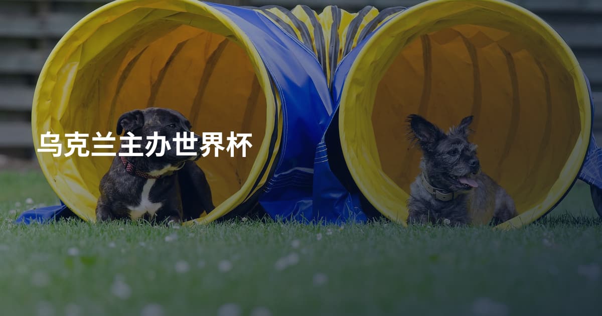 乌克兰主办世界杯