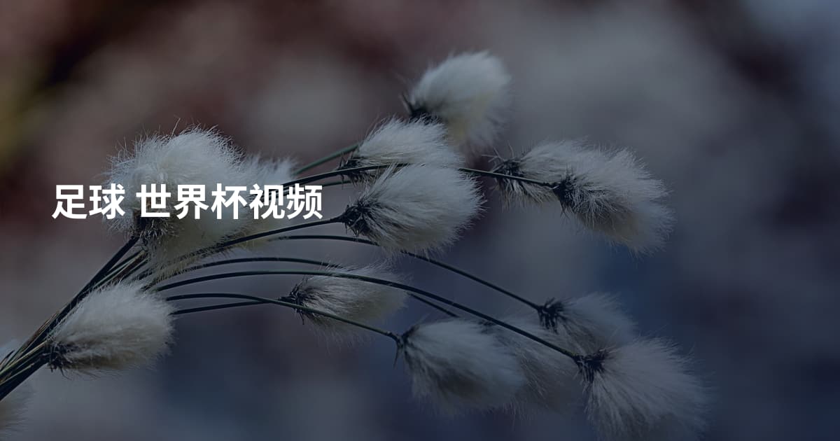 足球 世界杯视频
