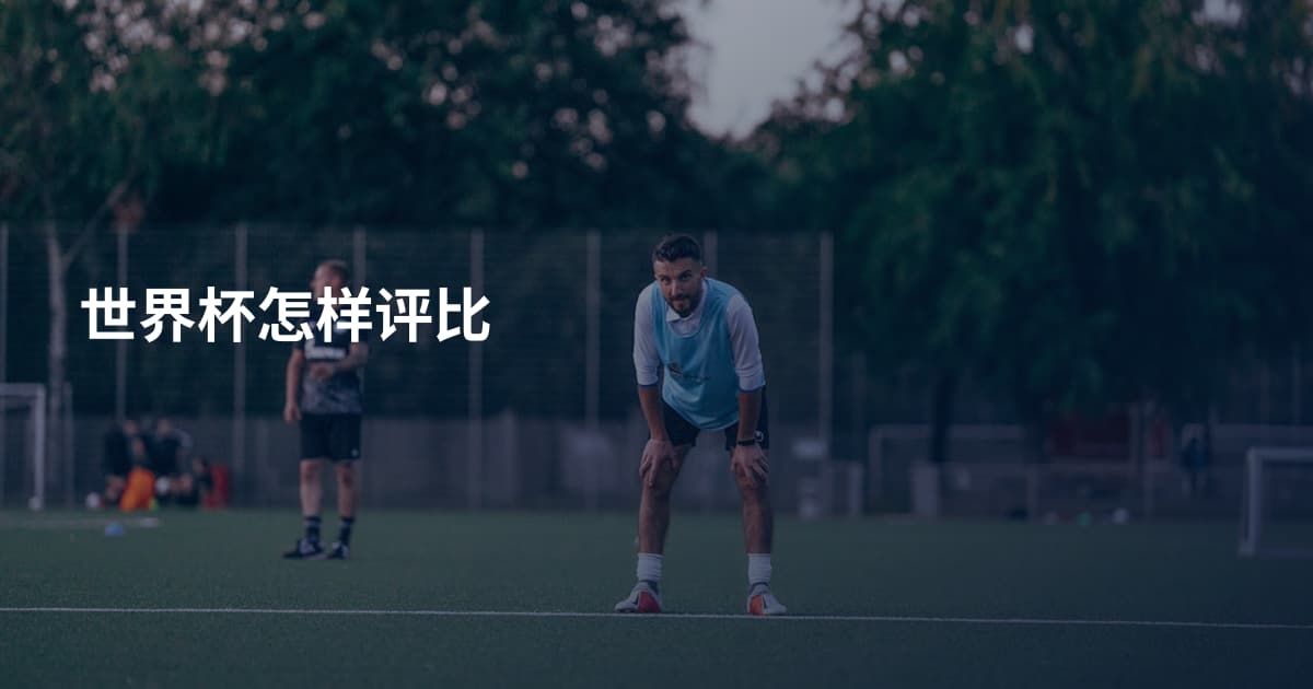 世界杯怎样评比