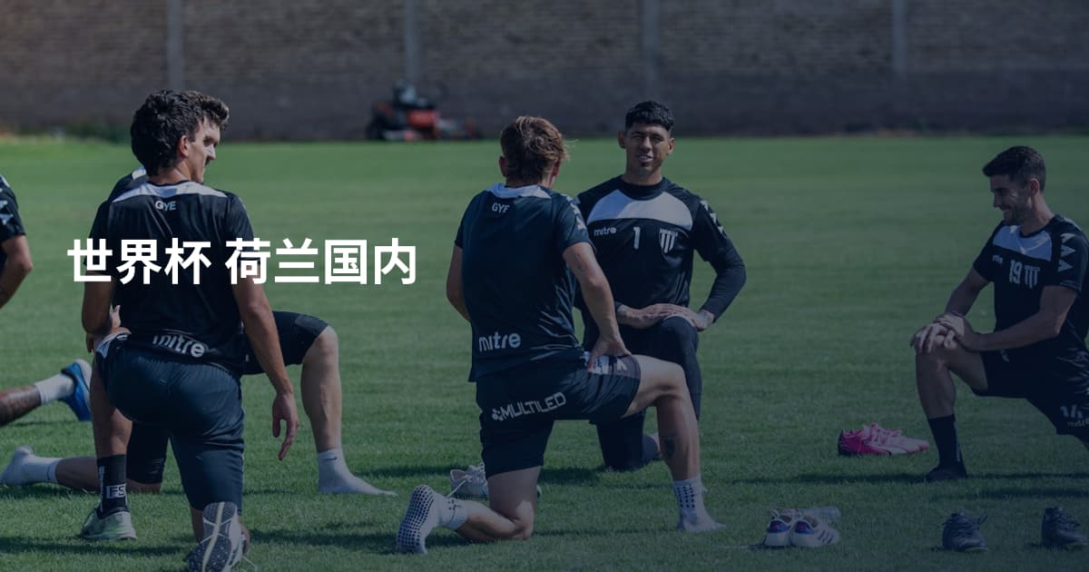 世界杯 荷兰国内