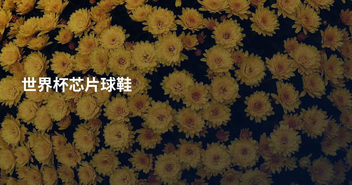 世界杯芯片球鞋