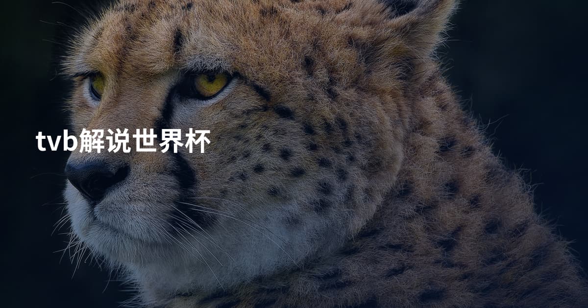 tvb解说世界杯