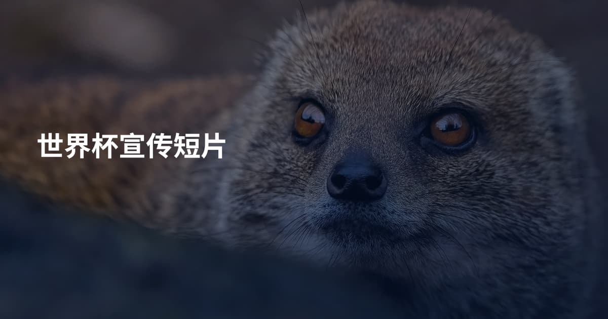 世界杯宣传短片