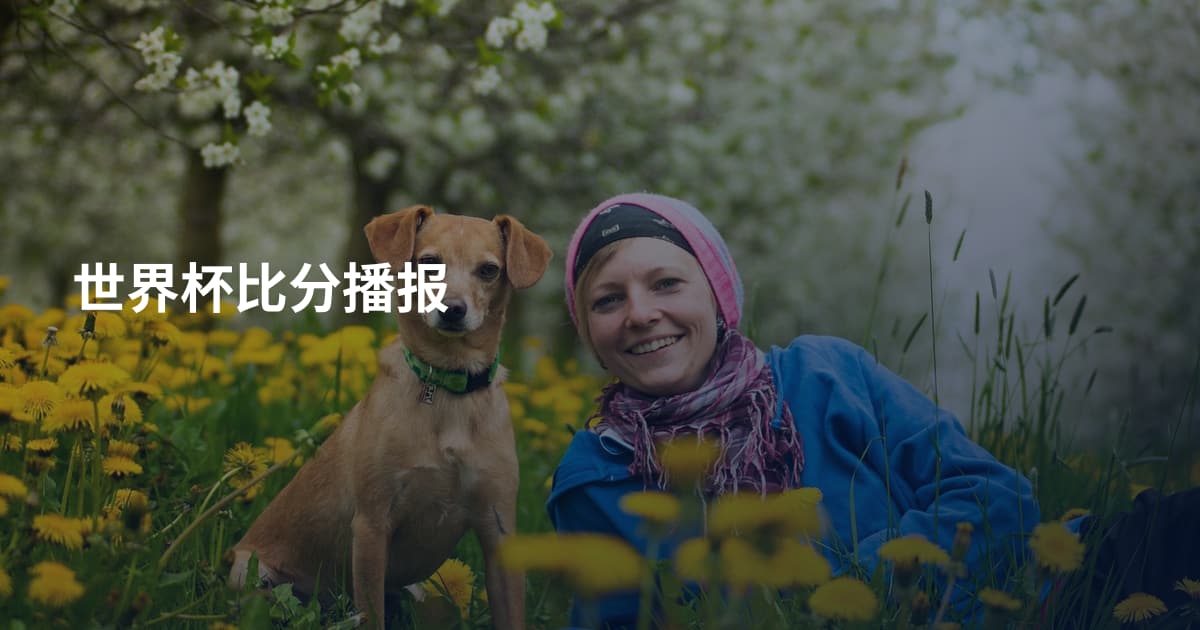 世界杯比分播报
