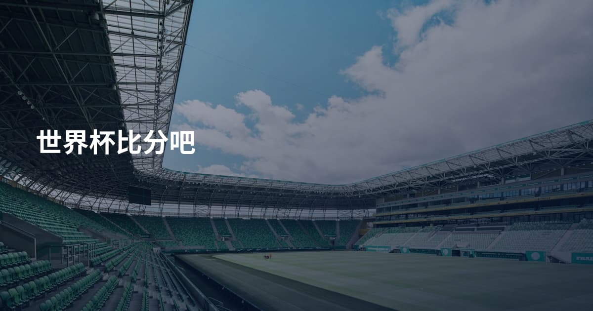 世界杯比分吧