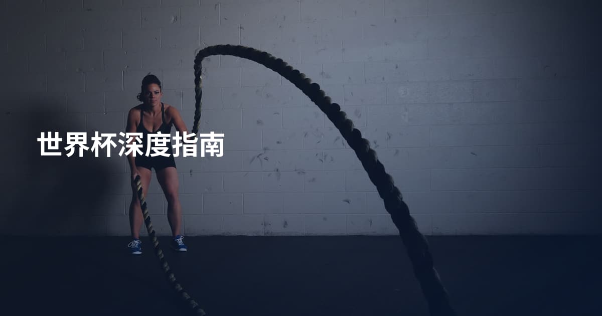 世界杯深度指南